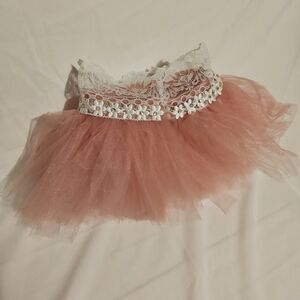 Pink Tulle Skirt with Lace Trim